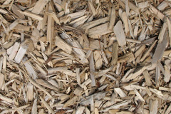 biomass boilers Artigarvan